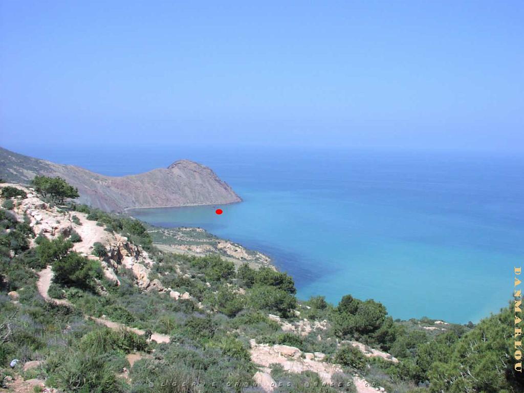 CAP ROUX ET LES BATEAUX EN CIMENT  (6).JPG
